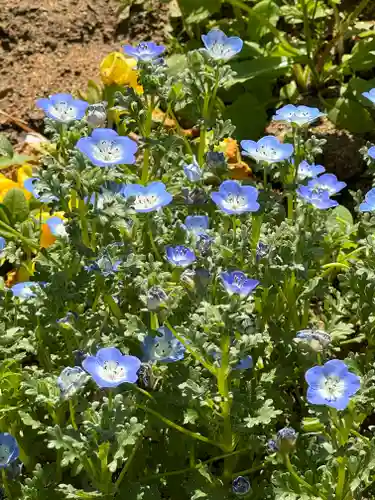 大鏑神社(福島県)