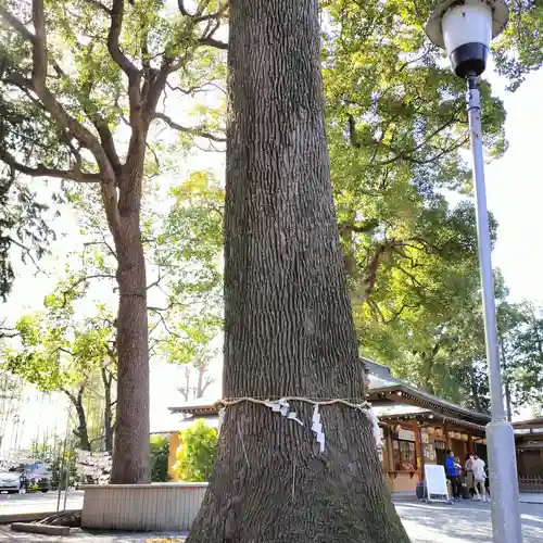 星川杉山神社(神奈川県)