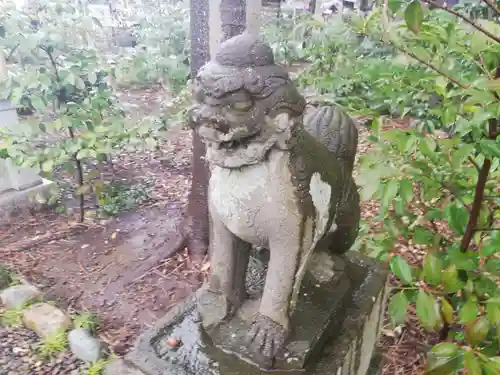 菊田神社の狛犬