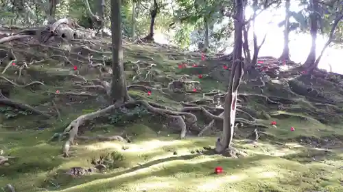 城南宮(京都府)