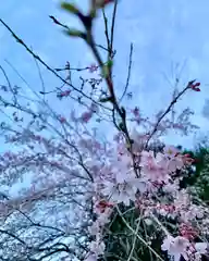 滑川神社 - 仕事と子どもの守り神の周辺