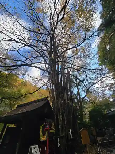 貴船神社(京都府)