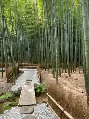 報国寺のその他建物