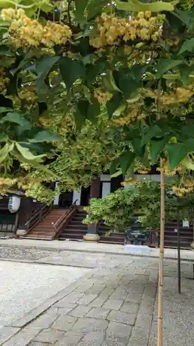 真正極楽寺（真如堂）(京都府)