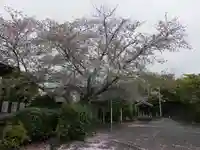 禮雲寺の自然