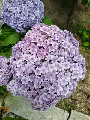 磐井神社(東京都)