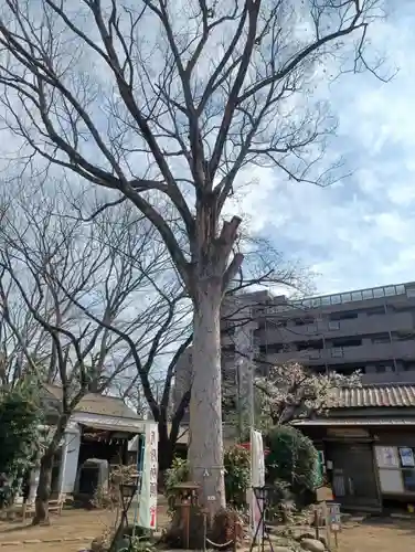 敷島神社(埼玉県)