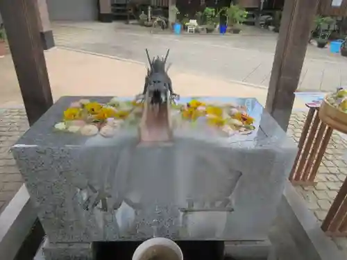 川越八幡宮(埼玉県)