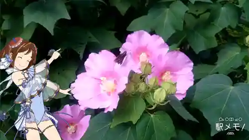 海蔵寺(神奈川県)