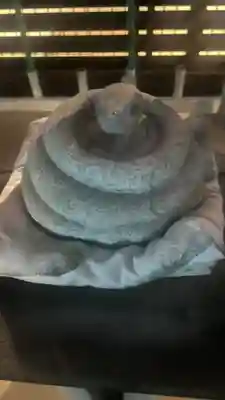 白山社(愛知県)