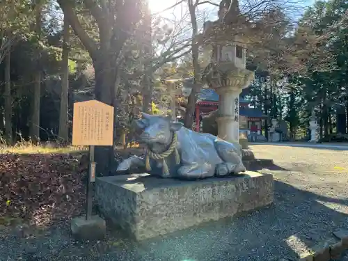 冨士御室浅間神社の狛犬