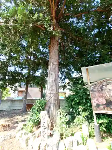 生出塚神社(埼玉県)