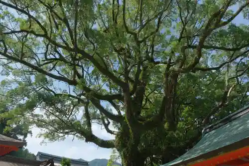 熊野那智大社の自然