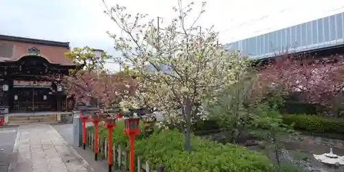 六孫王神社(京都府)