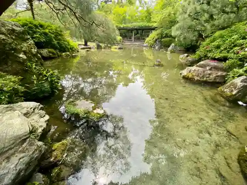 城南宮(京都府)