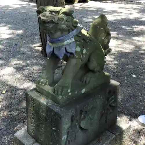 小竹八幡神社の狛犬