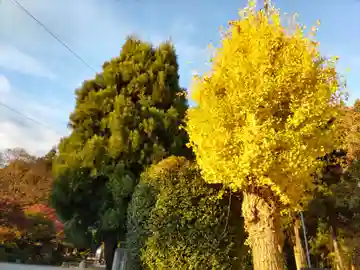 宝光寺の山門・神門