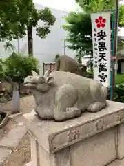 安居神社の狛犬