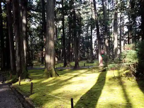 平泉寺白山神社の自然