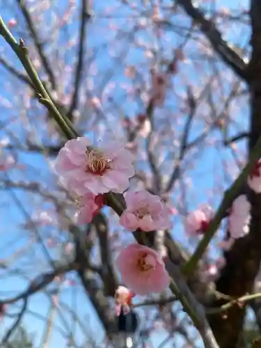 祖母井神社(栃木県)
