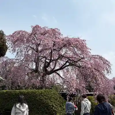 櫻木神社(千葉県)