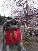 木田神社(福井県)