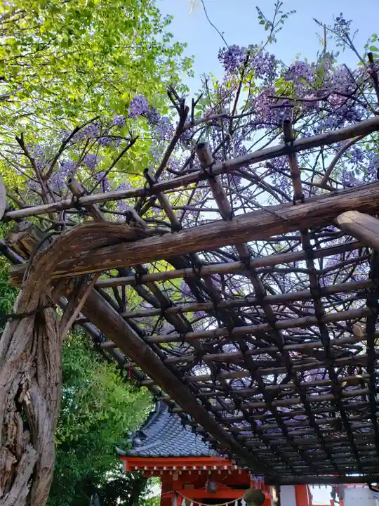 藤神稲荷神社(東京都)