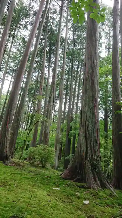 古峯神社の自然