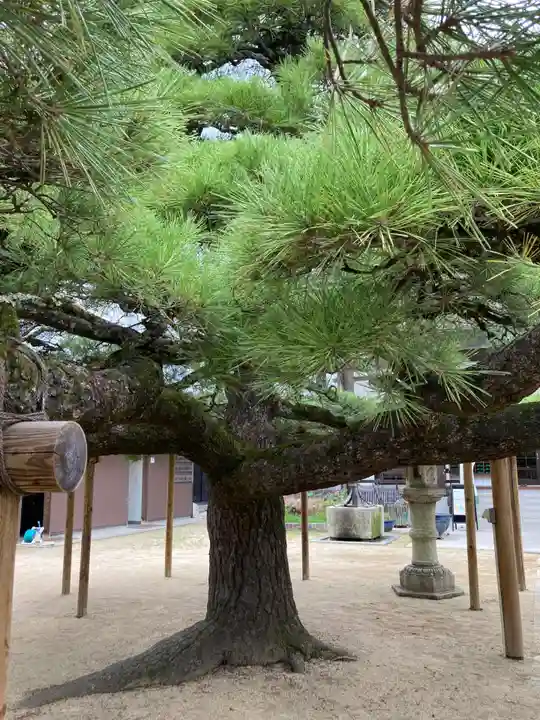 本福寺(滋賀県)