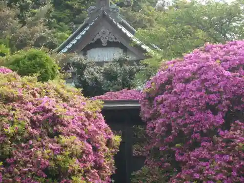 安養院　(田代寺）のその他建物