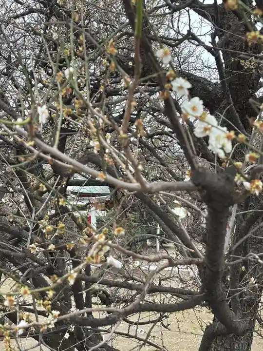北野神社(東京都)