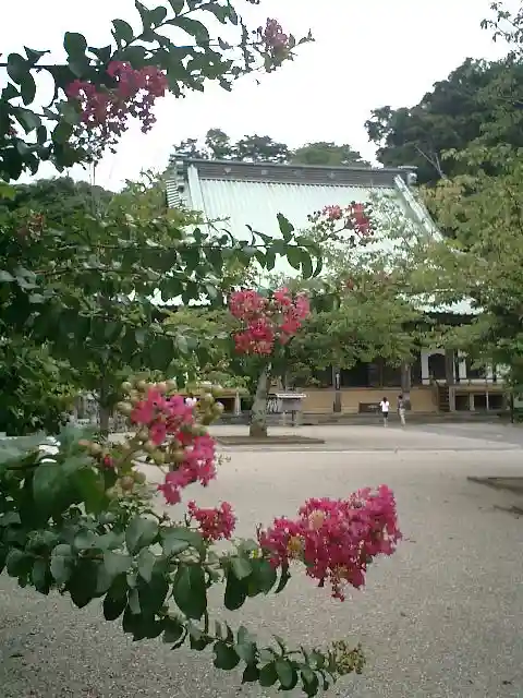 光明寺のその他建物