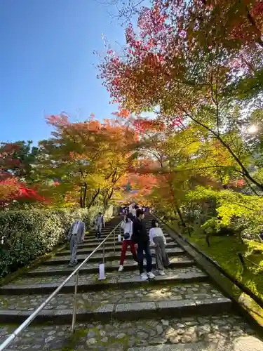 禅林寺（永観堂）(京都府)