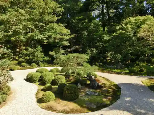 曼殊院門跡の庭園