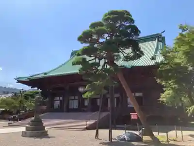 護国寺(東京都)