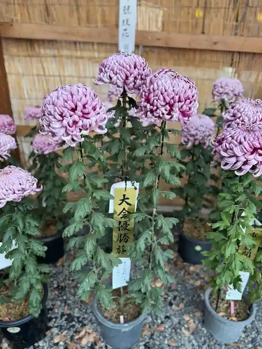 諏訪大社下社秋宮(長野県)