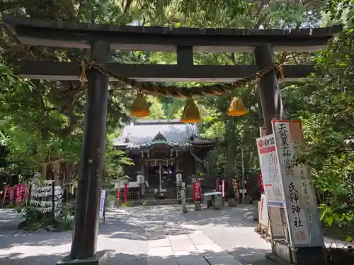 八雲神社（鎌倉・大町）(神奈川県)
