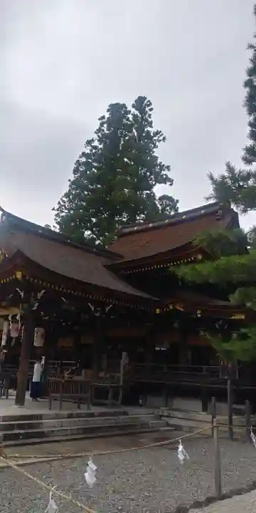 多賀大社の本殿・本堂