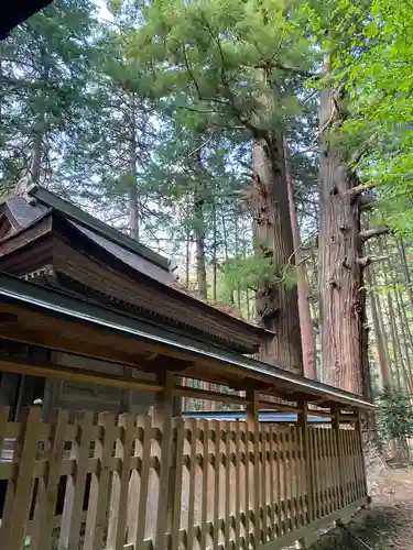 山宮神社(山梨県)