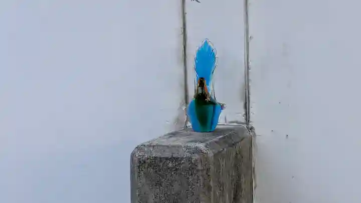 鶴満寺(大阪府)