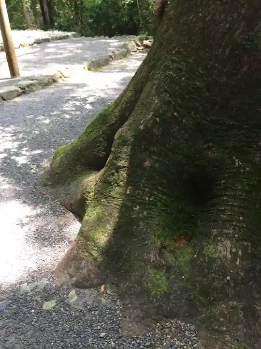 葭原神社(皇大神宮末社)(三重県)