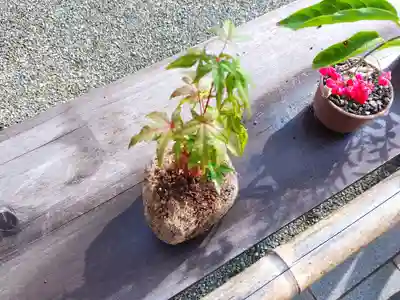 妙蓮寺(神奈川県)