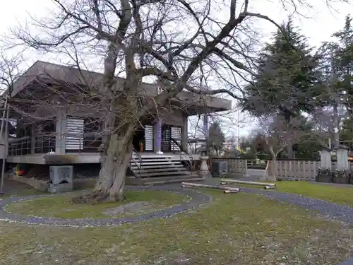 妙経寺(福井県)