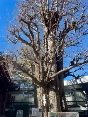 大鳥神社の{uncategorized: "未分類", other: "その他", undefined: "問題あり", building: "その他建物", grave: "お墓", sacred_gate: "鳥居", guardian: "狛犬", statue: "像", buddha: "仏像", history: "歴史", nature: "自然", garden: "庭園", animal: "動物", pagoda: "塔", temizu: "手水舎", mountain_gate: "山門・神門", sanctuary: "本殿・本堂", subordinate: "末社・摂社", art: "芸術", scenery: "景色", jizo: "地蔵", ema: "絵馬", goshuin: "御朱印", omikuji: "おみくじ", items: "授与品その他", amulet: "お守り", goshuincho: "御朱印帳", eats: "食事", festival: "お祭り", votive_dance: "神楽", shichigosan: "七五三参", wedding: "結婚式", experience: "体験その他", initially: "初詣", around: "周辺", anti_infection: "感染症対策"}
