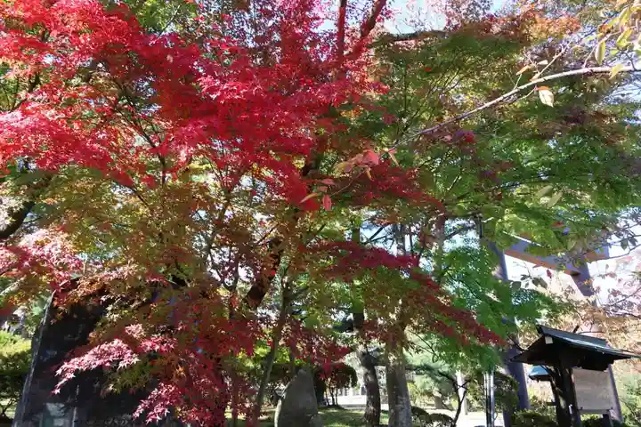 開成山大神宮の庭園