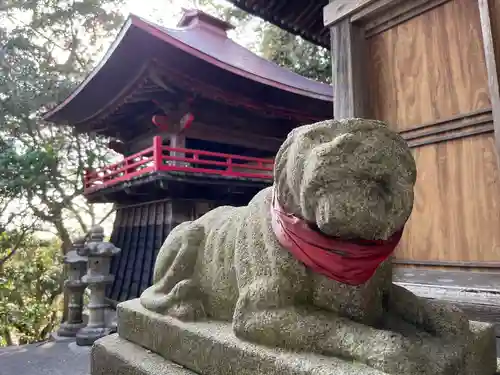 福蔵院の狛犬