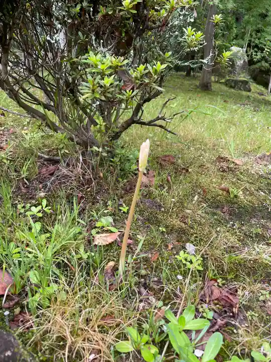 伊勢の国 四天王寺の庭園