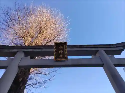 柏神社の建物その他