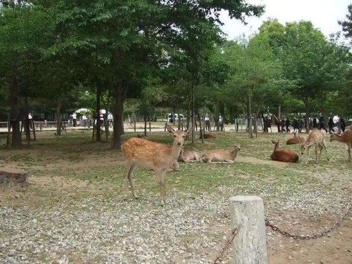 氷室神社(奈良県)
