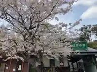 極楽寺(霊鷲山感應院極楽律寺)の自然